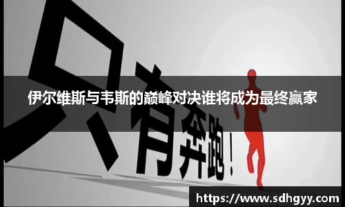 伊尔维斯与韦斯的巅峰对决谁将成为最终赢家
