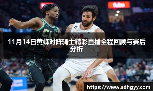 11月14日黄蜂对阵骑士精彩直播全程回顾与赛后分析